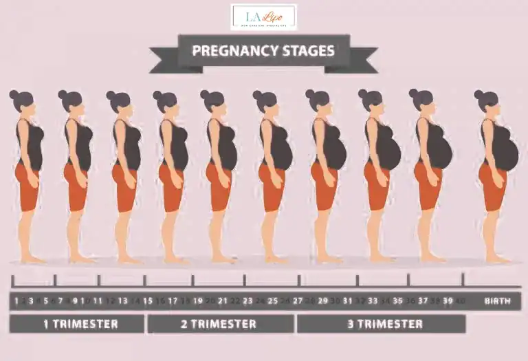 First Trimester (Weeks 1–12): Early Changes You Might Not Notice Greater London (Harrow)